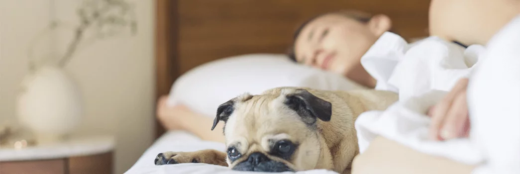 Egyedül alvók is felismerhetik az alvási apnoe jeleit