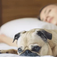 Egyedül alvók is felismerhetik az alvási apnoe jeleit