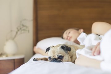 Egyedül alvók is felismerhetik az alvási apnoe jeleit